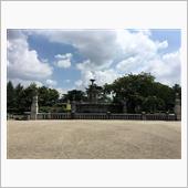 レアポケモンを求めて・・・