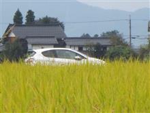 日帰り散居村ドライブ