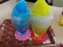 今シーズン最後かも