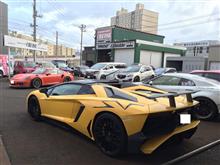 札幌のクルーズ ツネちゃん更にワァーオ！