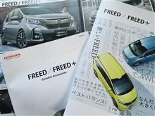 新しいFREED!!