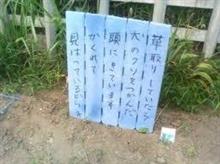 ぱないの♡…