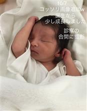 我が家に舞い降りた希望の光。その名は…。