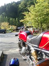 晴れたね
