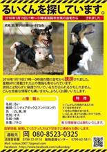 るいくんを…探しているとのことで… るいくんを…探しているとのことで…