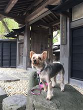 2016年9月 東北ドライブ秋田編