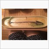 さんまの季節になりました