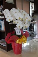 【サロン全体がお花で華やいでいます(^^♪】