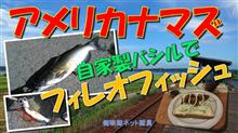 なまず釣り「アメリカナマズでフィレオフィッシュ！」健啖隊ネット隊員（y.katsu) 