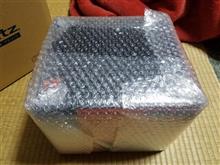 一眼レフカメラ　デビュー！！