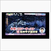 阪神甲子園球場&#215;水樹奈々！