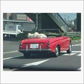 こ・・・怖えぇ・・・　((( ...