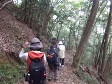 山口市徳地大原湖での森林セラピー 本当に癒されました。