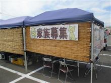猫達に癒されてきました♪ 猫達に癒されてきました♪