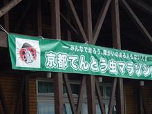 てんとう虫マラソン