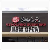  Revolving Sus ...