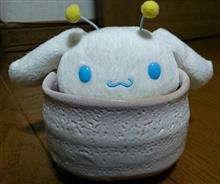 今日は休憩の日