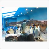 長崎ペンギン水族館☆彡