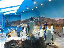長崎ペンギン水族館☆彡