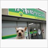 ワクチン接種