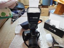 仲夏製フラッシュ購入