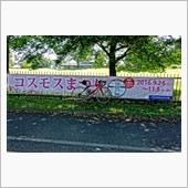 そうだコスモス見に行こう