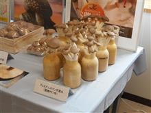 秋です　キノコ大量発生