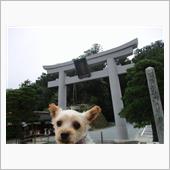 月初めの小国神社参り