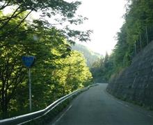 久々の森林浴(天生峠) 久々の森林浴(天生峠)