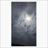 蒸し暑い１日です。