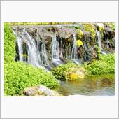 羊蹄山の湧き水
