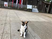 来週は例大祭