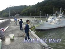 サビキで釣りを満喫