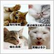 思い立ったが吉日。。（#￣ー￣#）。。　　ダイエット３年と190日