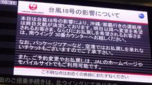 大当たり(>_<) 大当たり(>_<)