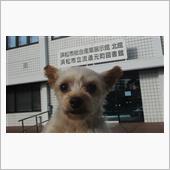 カートイズ・ミーティング・イ ...
