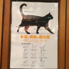 ドライブ in 池袋