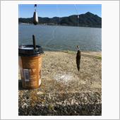 そうだ 6ヶ月ぶりの海釣り、 ...