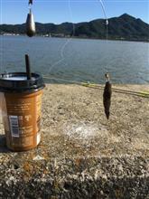 そうだ 6ヶ月ぶりの海釣り、行こう。