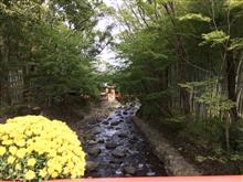 ドライブで修善寺へ ドライブで修善寺へ