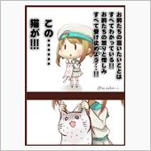 上がる物ばかり・・・