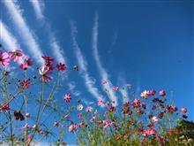 2016年 10月10日  体育の日 ②