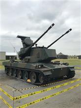 自衛隊観閲式