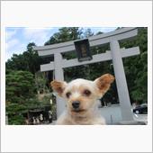 厄除けお守り