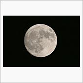 キレイな月夜ですね。