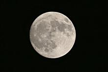 キレイな月夜ですね。