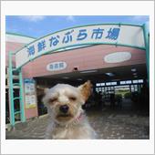 御前崎なぶら市場