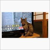 そりゃ怒るよな、あんな運転し ...