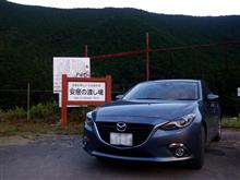 友釣り納竿です