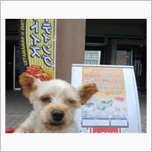 カートイズミーティング釣果